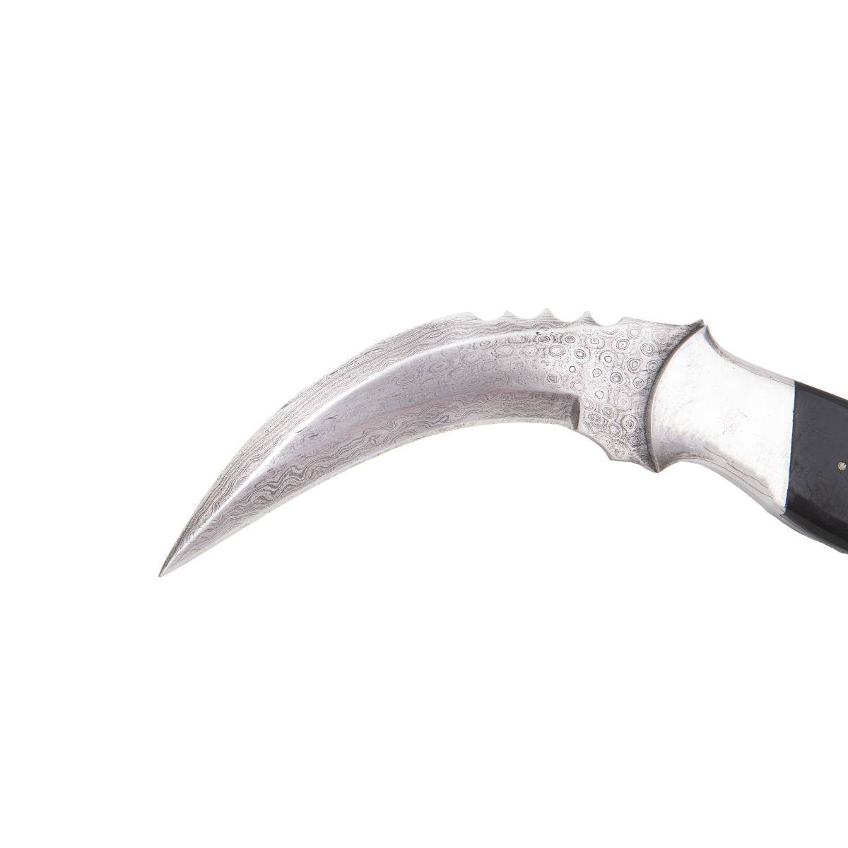 Horn Karambit Tactical Knife 3