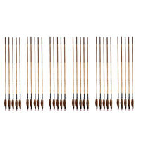 Shifter Cane Arrow Set - ACA-01 - Archery Equipment - OutdoorTravelGear.com