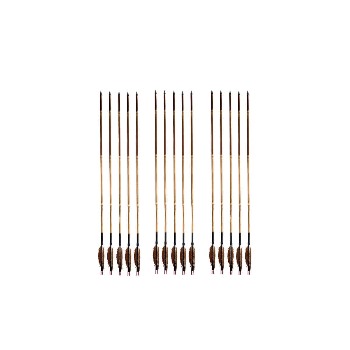 Shifter Cane Arrow Set - ACA-01 - Archery Equipment - OutdoorTravelGear.com