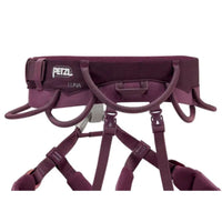 Women's Luna Harness - Violet - Small - OutdoorTravelGear.com